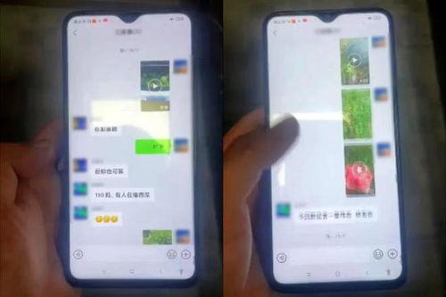 吃瓜明星的群微信免费,免费福利背后的秘密  第2张
